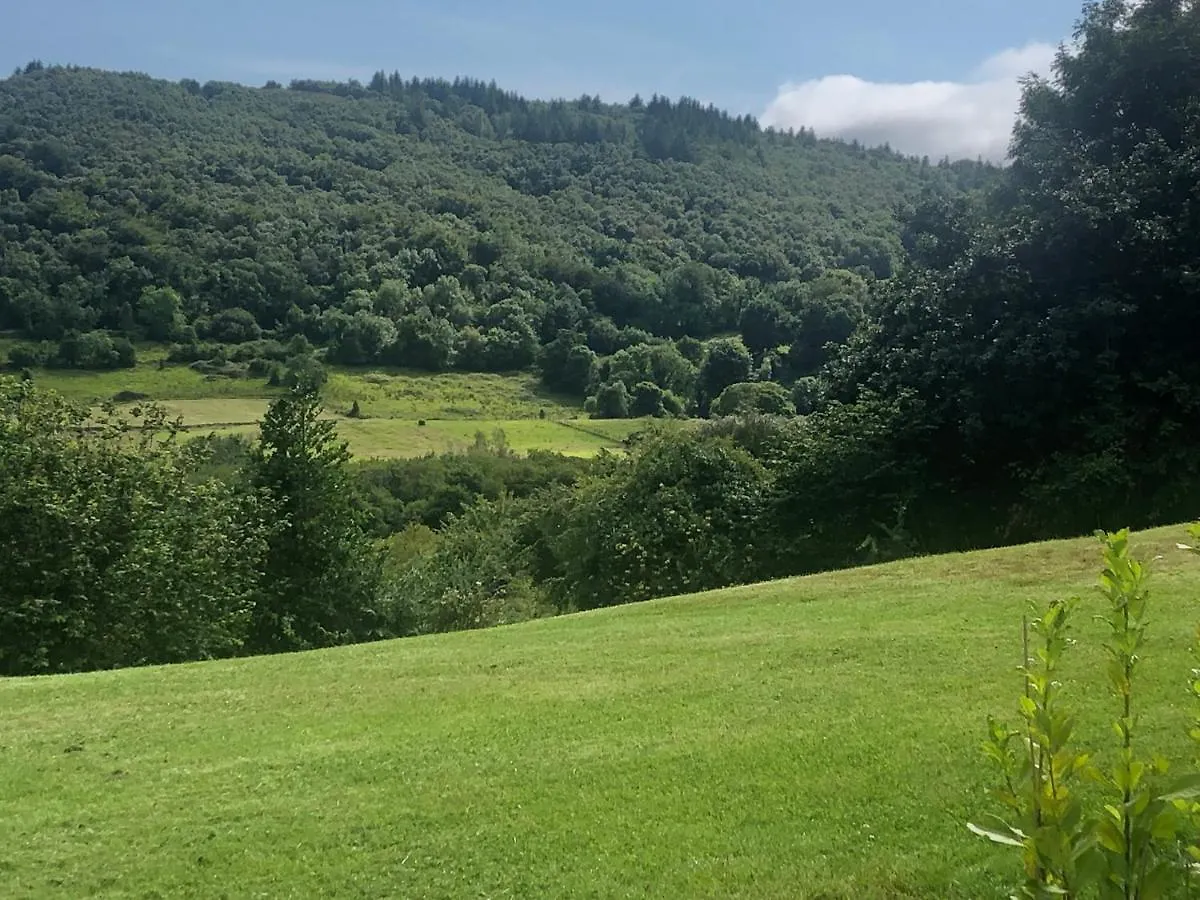 Oak Tree Lodge Westport 0*,  Irlanda